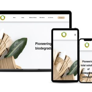 Landing Page -1